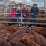 Mount Isa Campdraft ready for action-packed weekend