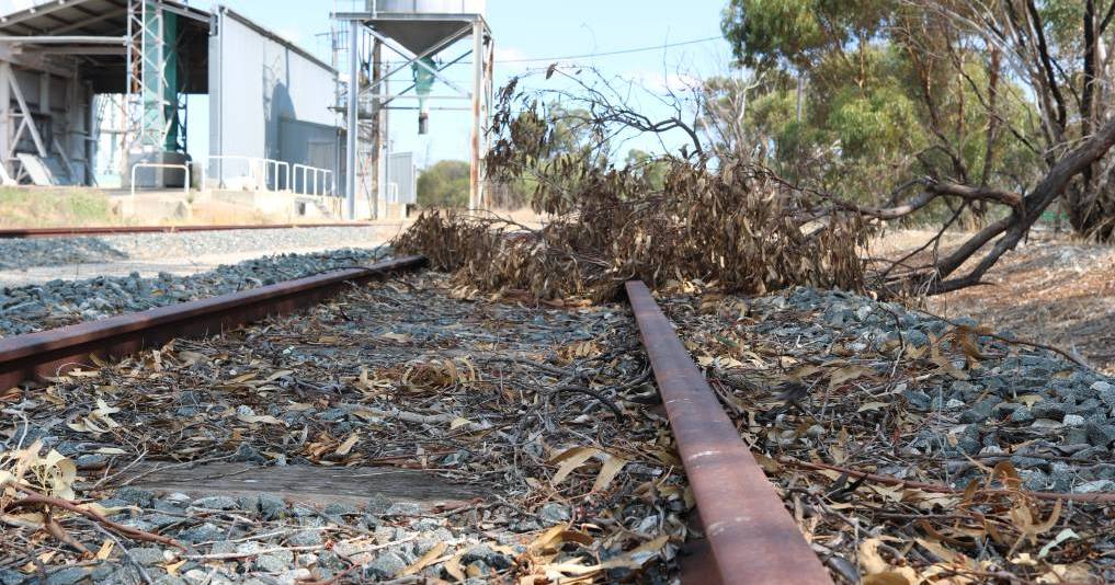 Too many delays for Kulin rail line says Liberal MP Steve Martin | Farm Weekly