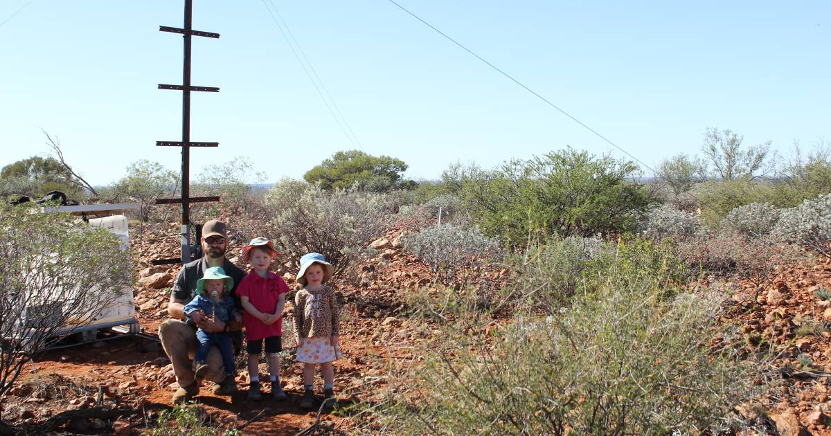 Inventive solutions for cattle monitoring