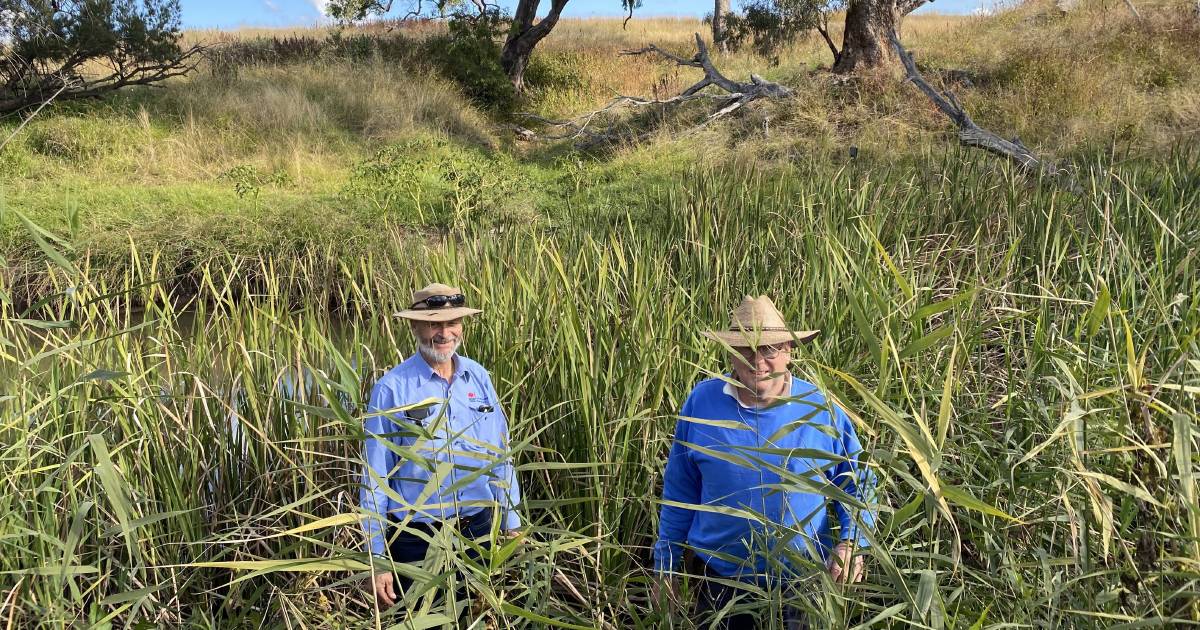 Rehydration project a year on – public invited for farm tours | The Land