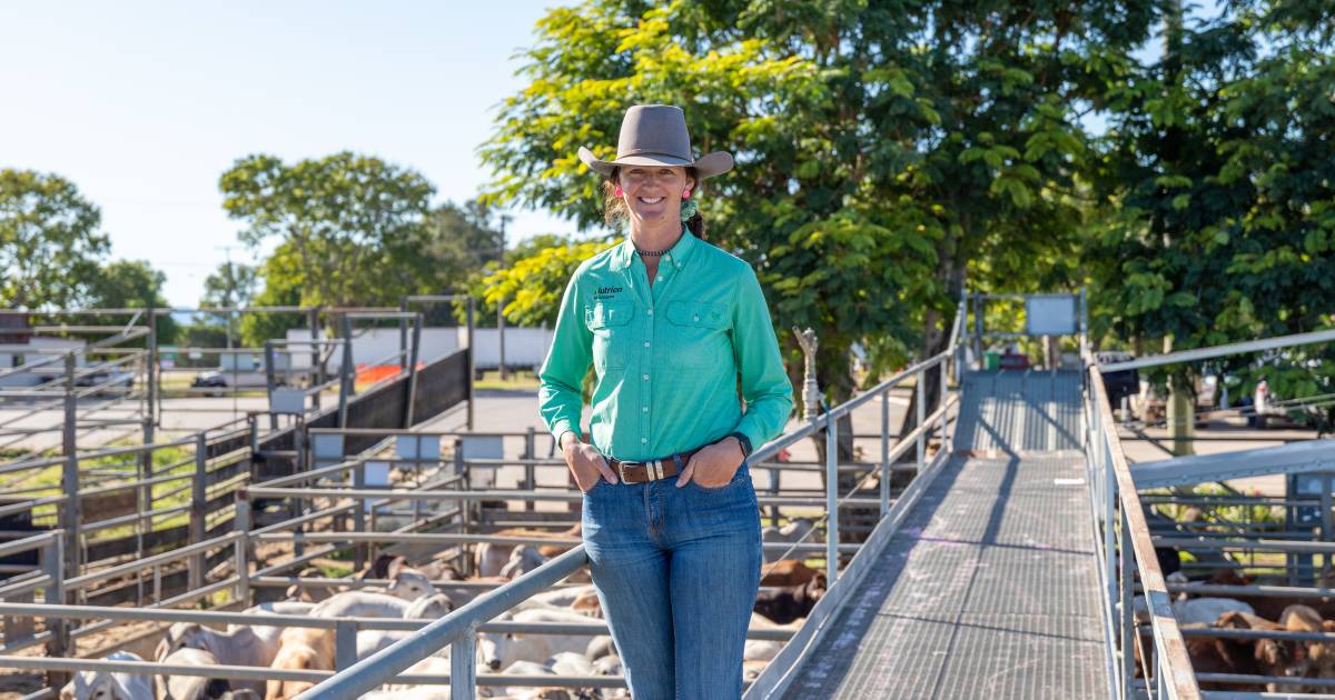 The Charters Towers woman bucking the trend on the saleyard catwalk and in the rodeo arena