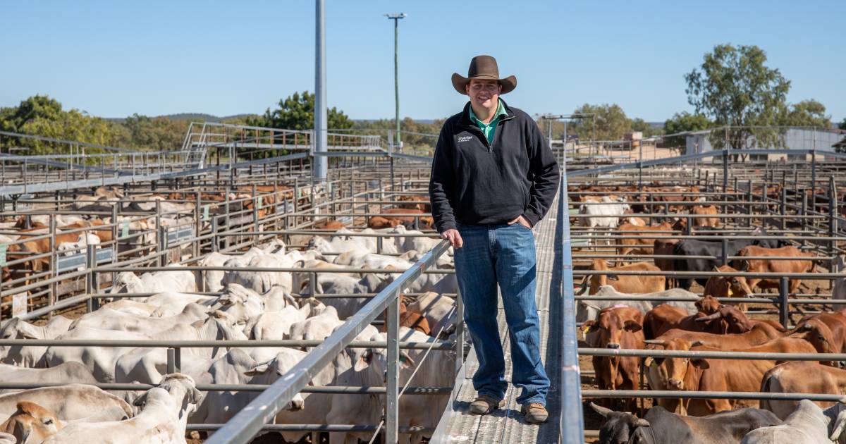 Price ease continues in Charters Towers