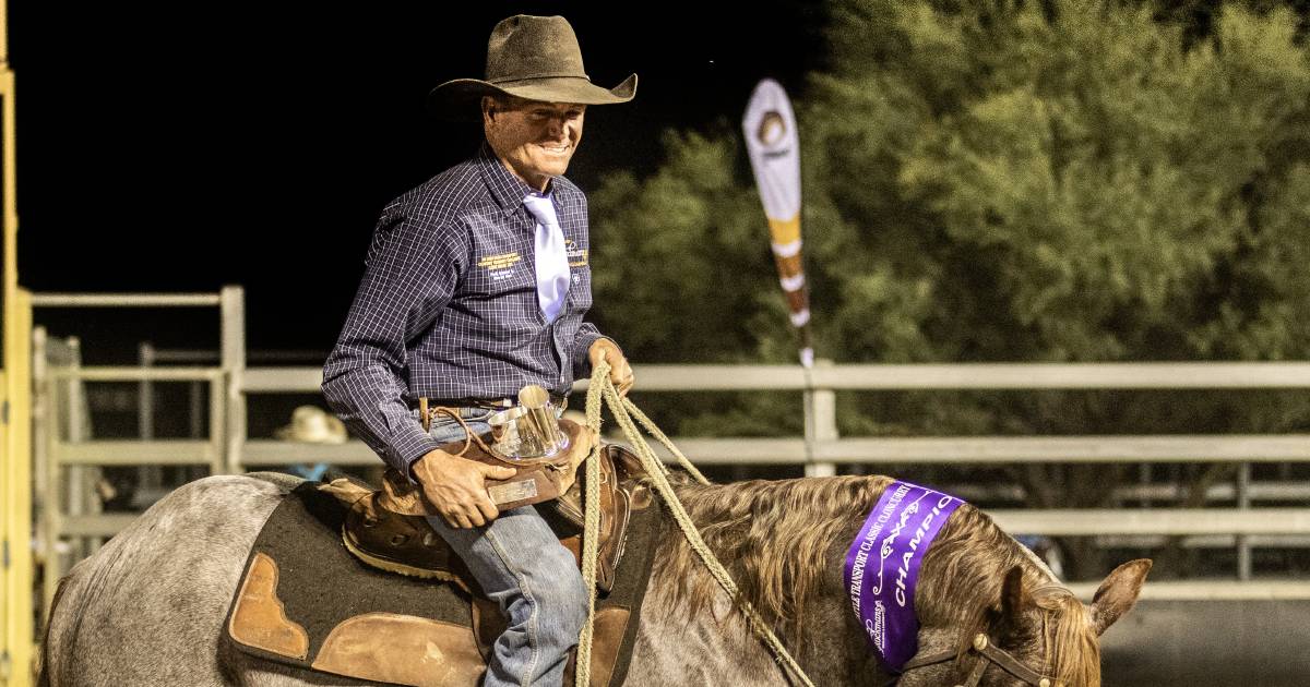 Kingaroy drafters take one and two in Cloncurry Challenge