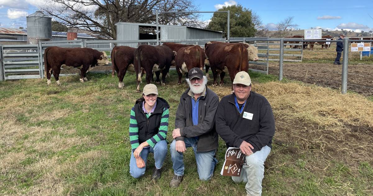 The Land Southern Beef Week day one photos | The Land