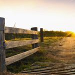 Too many delays for Kulin rail line says Liberal MP Steve Martin | Farm Weekly