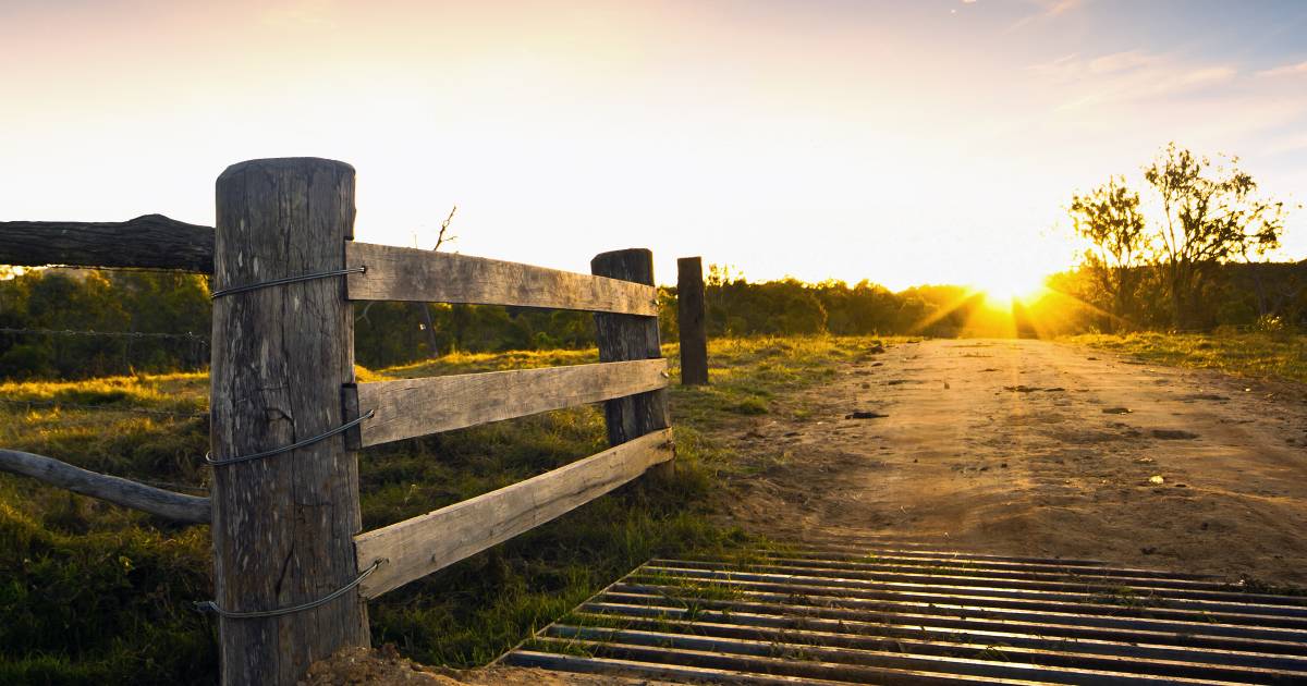 More interest in share farming says NAB Regional & Agribusiness Horizons report | Farm Weekly