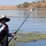 Kingaroy drafters take one and two in Cloncurry Challenge