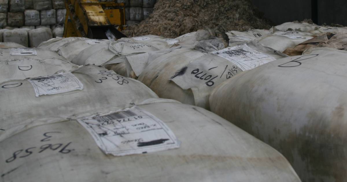 More than 1000 bales withdrawn from Western Wool Centre auction before recess | Farm Weekly