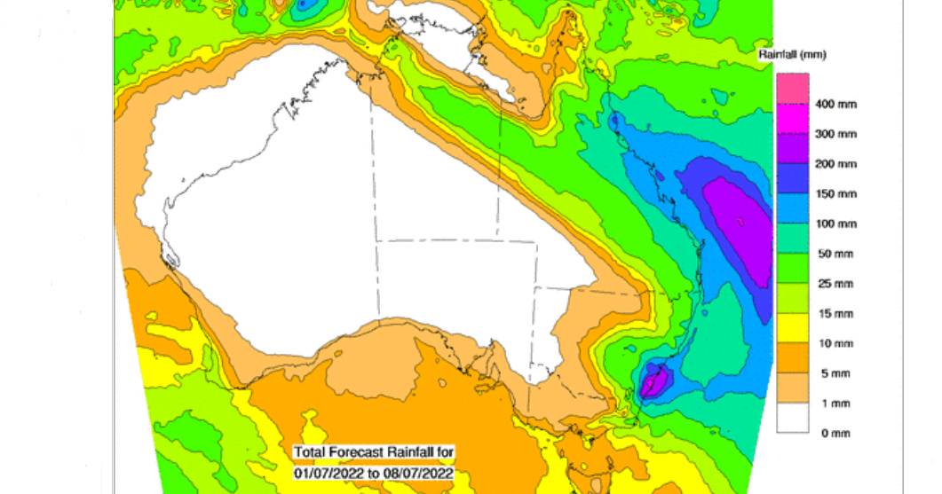 The big purple monster lurking off the Qld coast