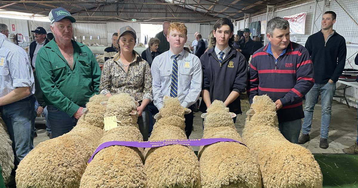 Taking Stock: Merino breeder concerned for his family if FMD enters