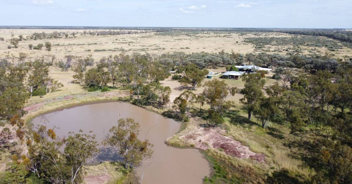 Five reasons why Qld’s rural property boom is far from over | The Land