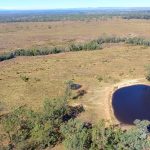 Cheaper trend hits store cattle at Carcoar