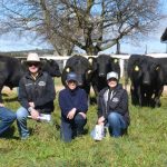 Minnie Vale Charolais meeting the market