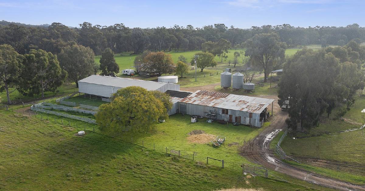 Hate fencing? All the work is done at Wangaratta