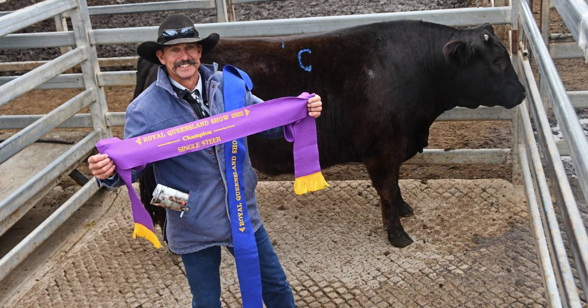 Goetsch's victory roll continues in Ekka prime cattle competition