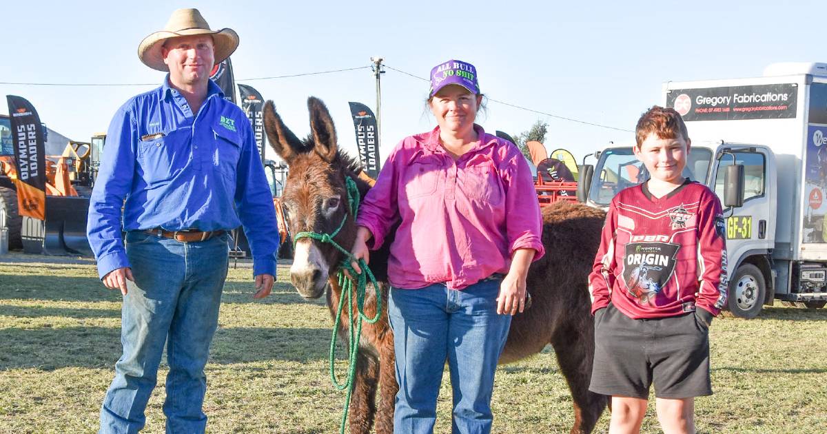 Graziers enlist donkeys to protect livestock against wild dogs