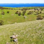 Book early to secure pollination services, growers told