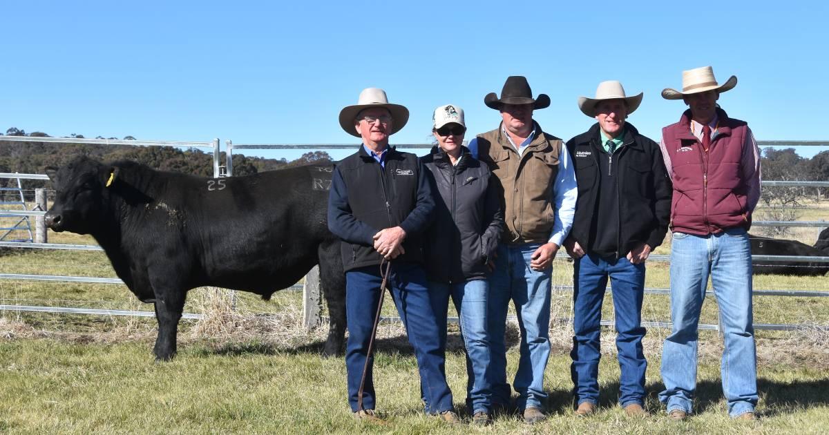 Sara Park Angus trumps its previous record average