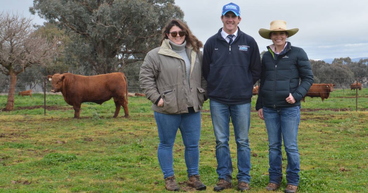 Cool temperatures don't deter visitors to Angus and Red Angus studs for Southern Beef Week | Photos