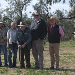 Banana freckle re-emerges in Northern Territory