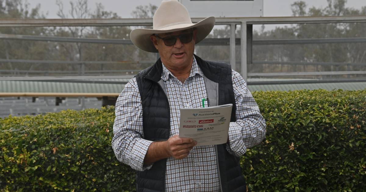 Ekka make announcement on prime cattle competition's future home