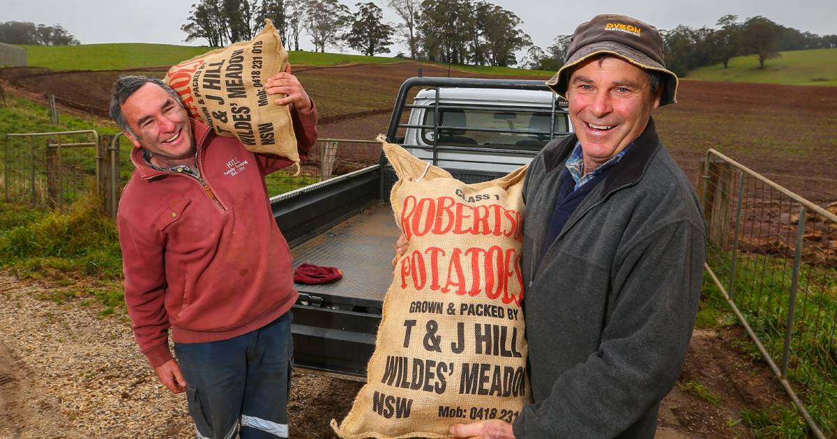 Spuds suffocate after 650mm of wild rain