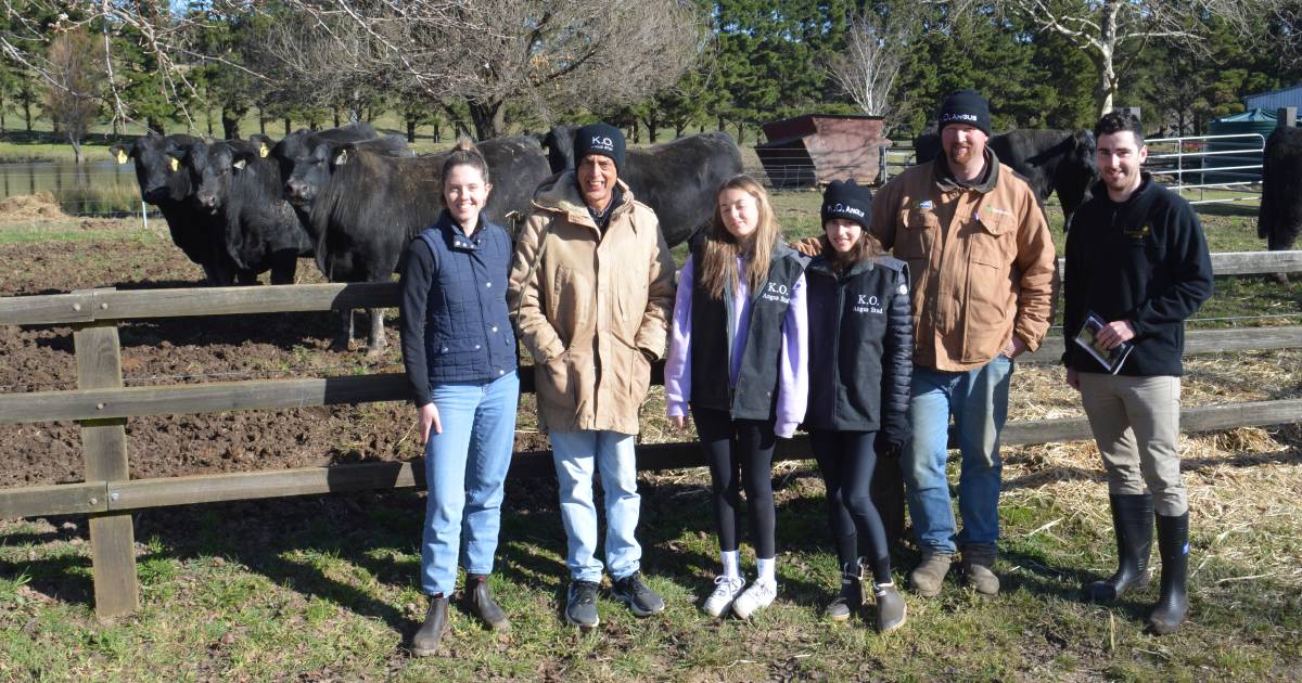 The Land Southern Beef Week day six features Circle 8, Myanga, KO, Wirrabilla, The Pines, Bannaby and Spring Hill Angus | The Land