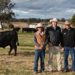 Taking Stock: Merino breeder concerned for his family if FMD enters