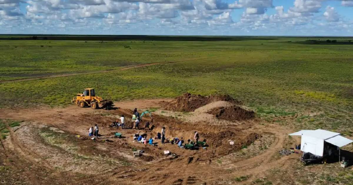 Winton dinosaur museum unearths 100 million year old teeth