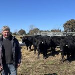 Quamby Rodeo set to race out of the gate