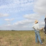 Mixed schedule for new season cotton plantings across the state