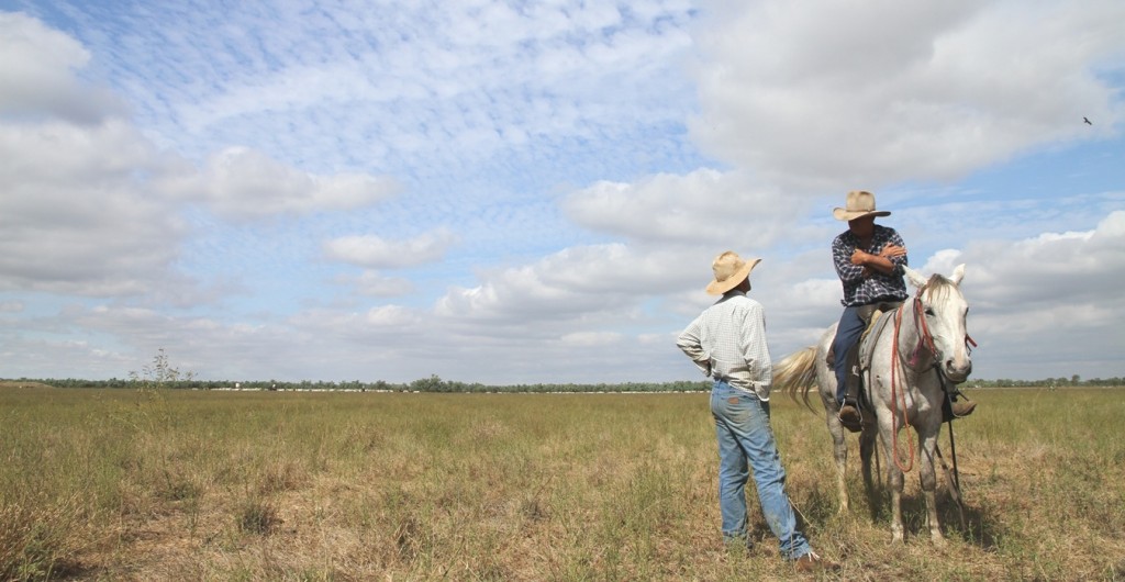 Recruitment: What young ag recruits want in their careers