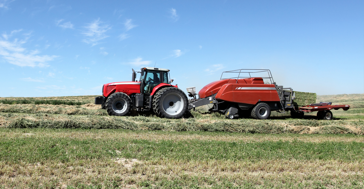 Drought has forage and hay growers concerned for this fall, winter