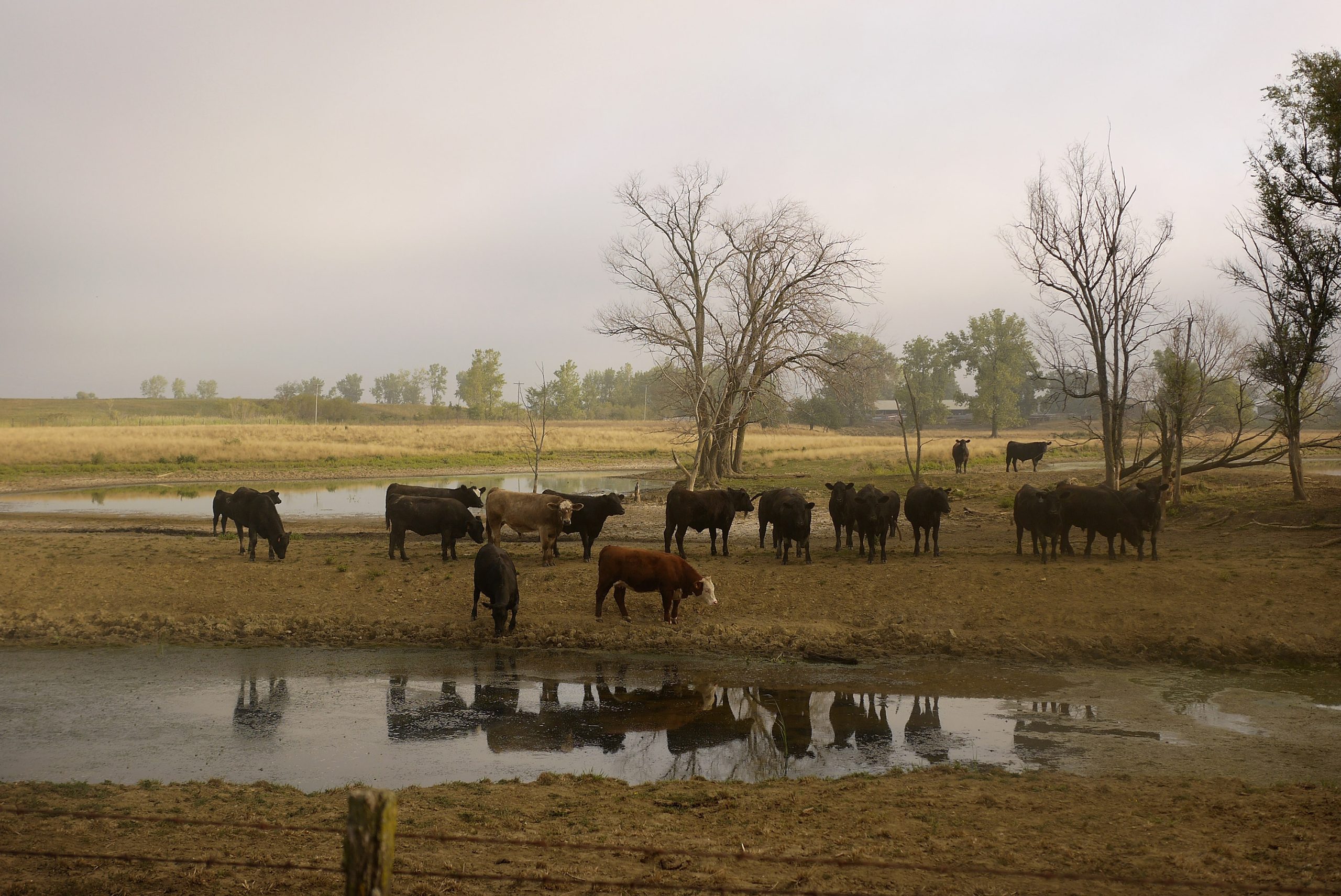 Match herd needs to anticipated forage supplies