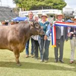 Landcare Group treat Leichhardt River rubber vine | The North West Star