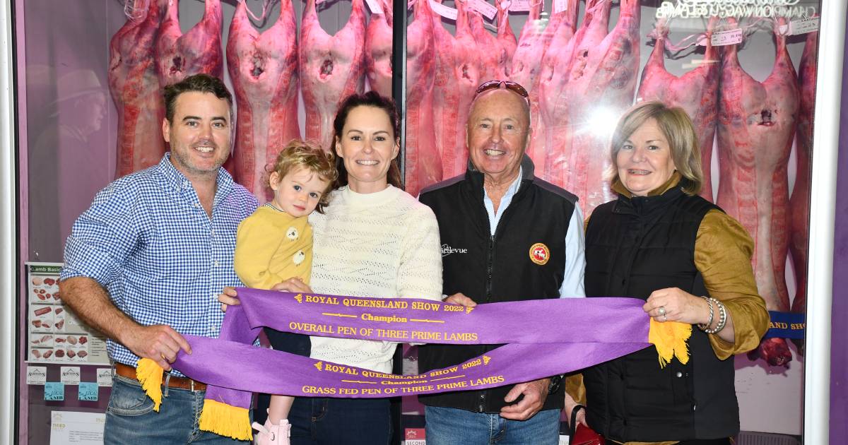 Dorper breed dominates the 2022 Ekka prime lamb competition