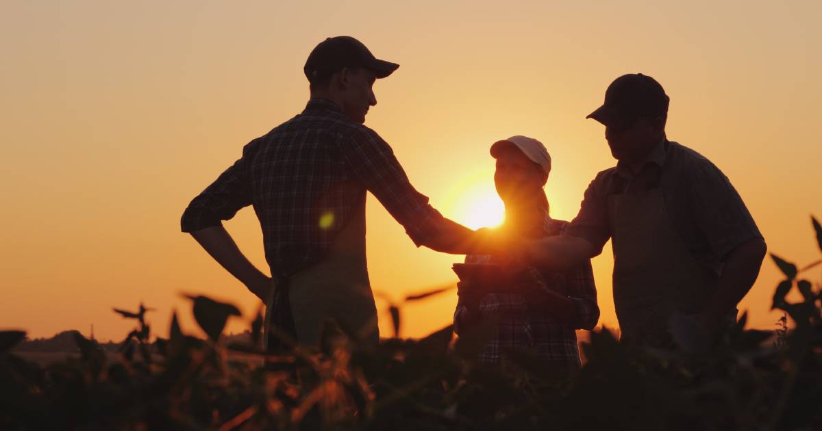 Find out what matters to farmers in new Westpac report