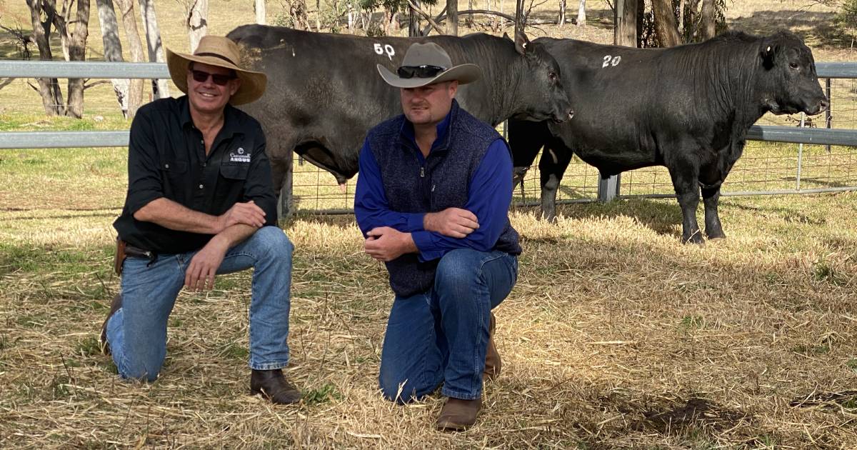 Eaglehawk Angus sale is "beyond expectations"