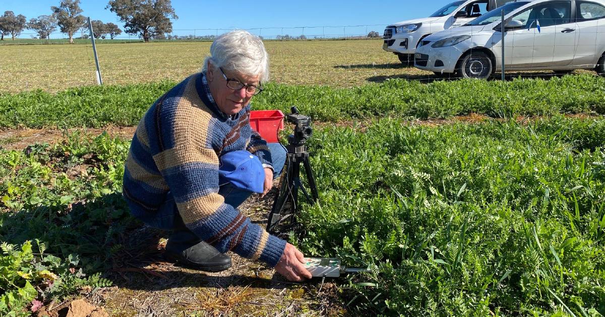 Crop mixtures not necessarily better than single species