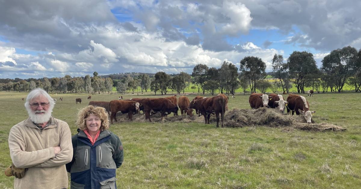 Riverina beef breeder supports Breedplan