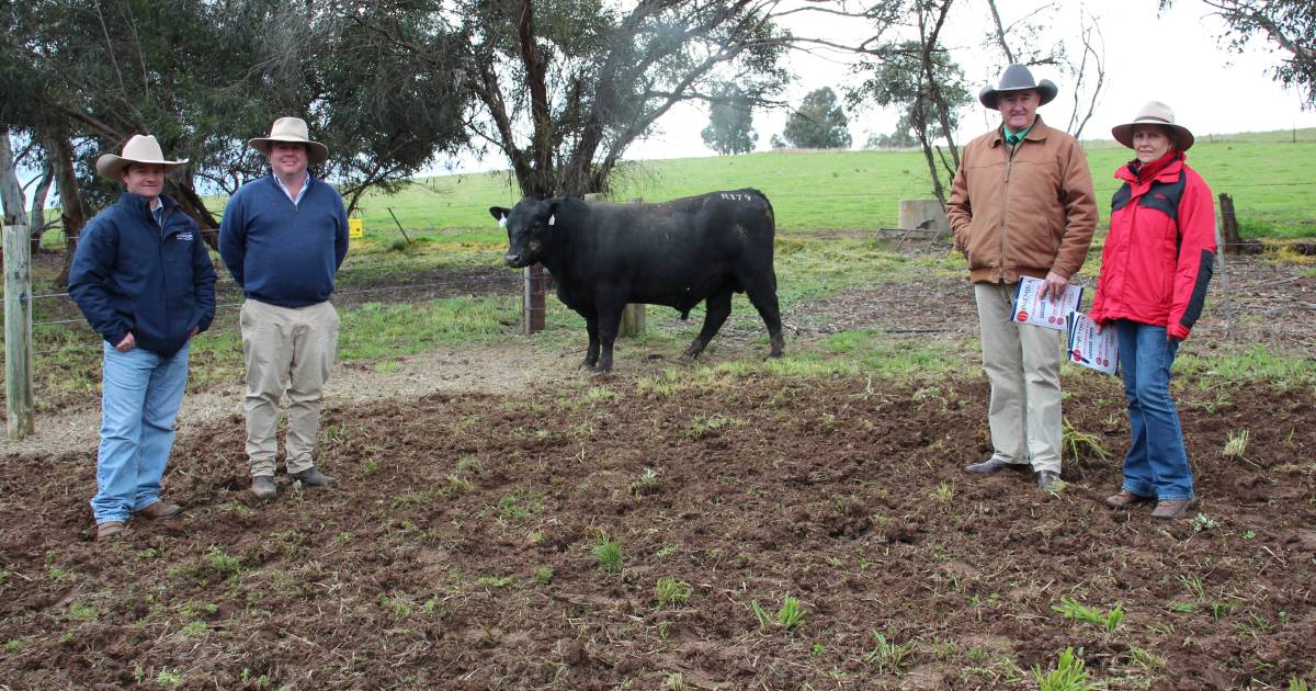 Full clearance at Injemira Angus