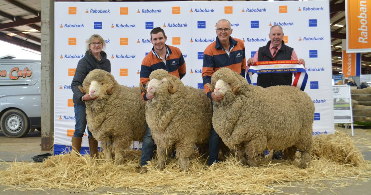 Day one results from the 2022 Rabobank Dubbo Merino National | Photos