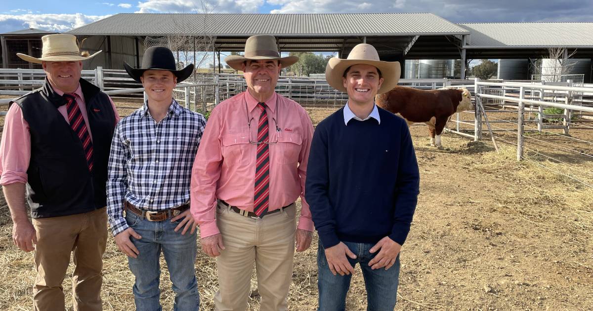 Bulls sold to $42,000, with 116 bulls averaging $12,009 | The Land