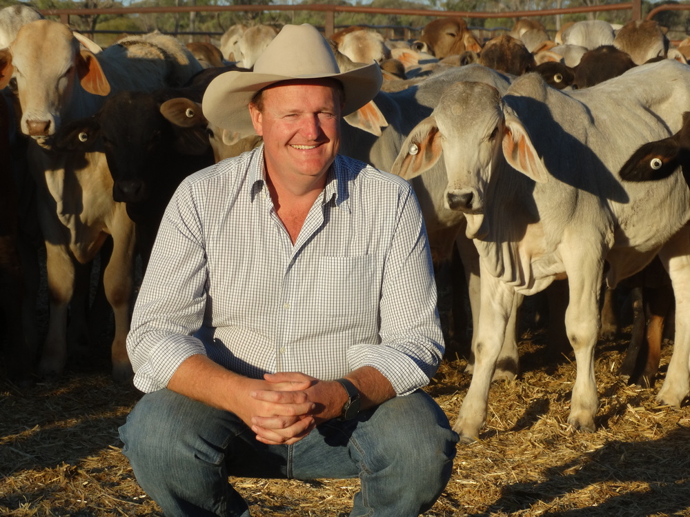 Qld Rural Press Club: Leading Australian cattlemen to speak on what’s happening in Indonesia