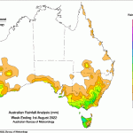 Why Australian beef’s positive outlook is no mistake