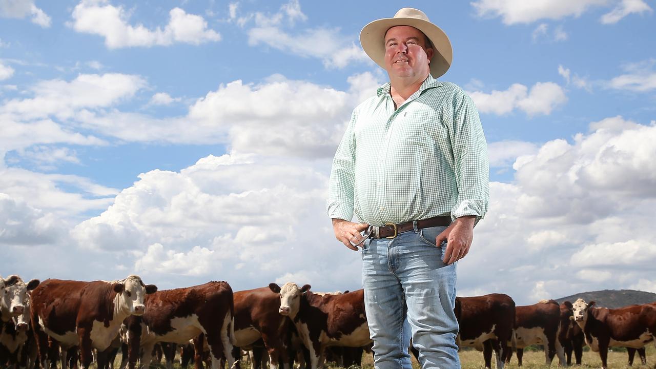 Farmer of the Year Marc Greening on expanding Injemira Hereford