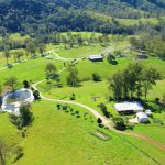 Queensland buyers snap up 44 of 63 Woonallee Simmentals at Tamworth