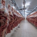 U.S. beef exports top $1 billion again; pork exports below last year