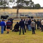 Waterlogged crops in NSW