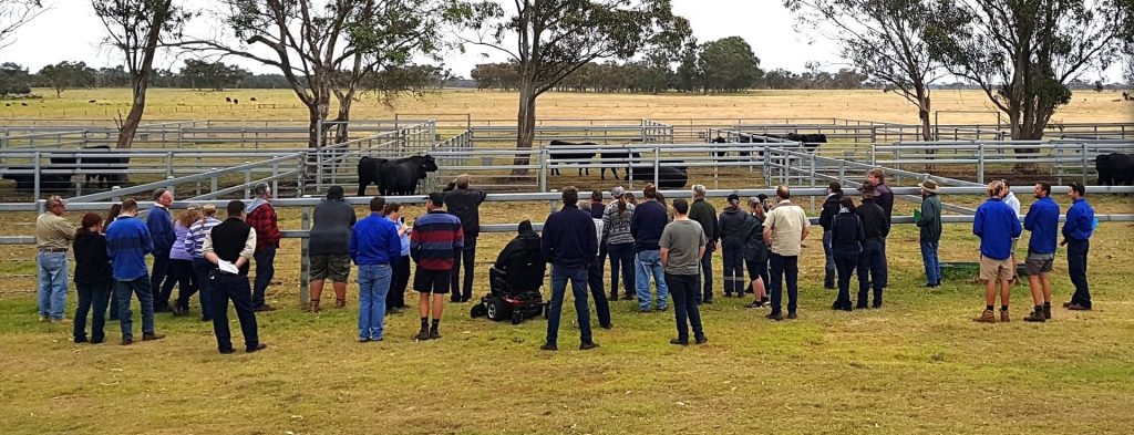 Western BullSelect workshops promise to deliver more bull for your buck